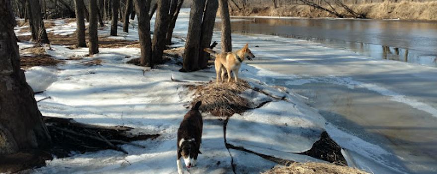 Kettle River Scientific and Natural Area