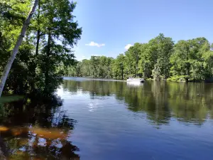 Trent River
