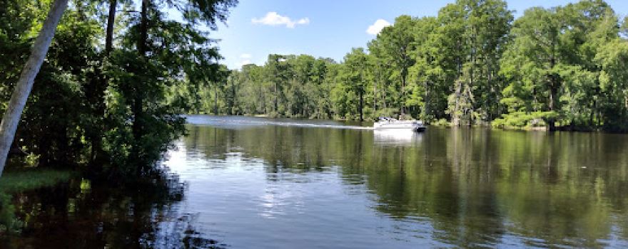 Trent River