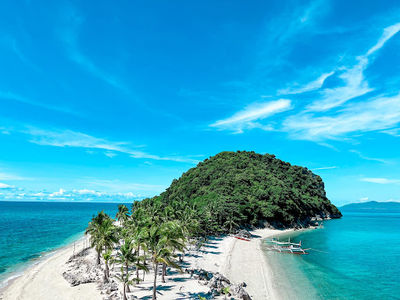 Cabugao Gamay