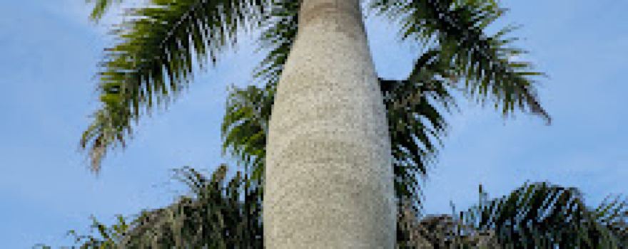 Monumento Natural Loma de Micara