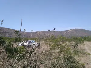 Nqabara