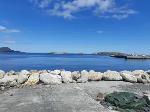 Southern Shore Folk Arts Council & Dinner Theatre