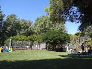 Camping Asociación Recreativa El Oasis