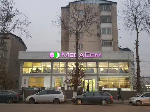 Osh micro district