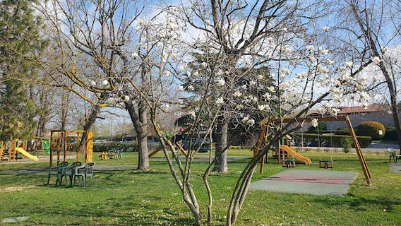 Società Canottieri Casale a.s.d.