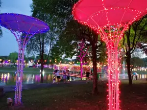 S2 City Park