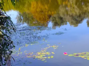 Izletište Stara Drava