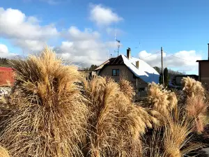 TRVALKOVÁ ŠKOLKA