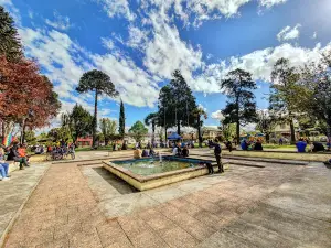 Square May 21