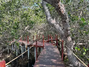 EKOWISATA BALE MANGROVE