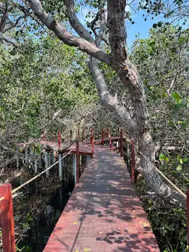 EKOWISATA BALE MANGROVE