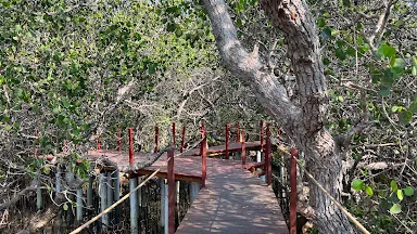 EKOWISATA BALE MANGROVE