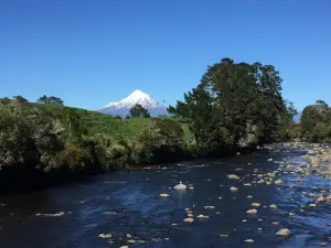 Everett Park Scenic Reserve