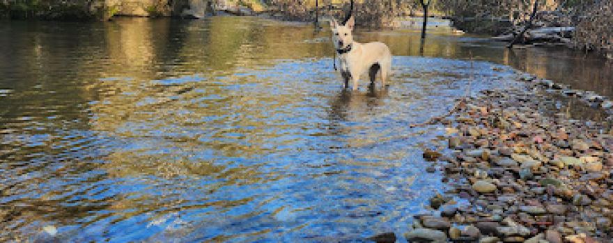 Buckland River
