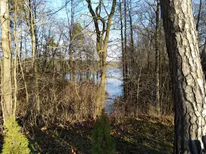 Mogila Yana I Sesilii