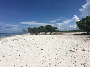Pantai Nyama