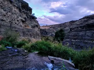 Douglas Creek