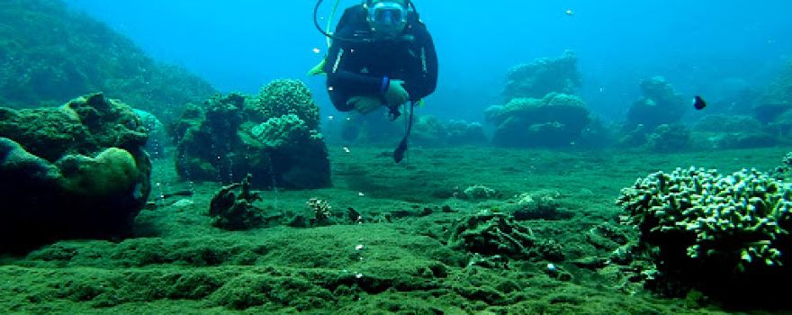Siau Divers DIVING CENTER