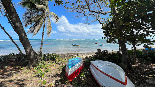 Parque Juan Lockward