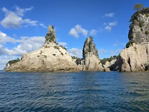 Te Whanganui-A-Hei Marine Reserve