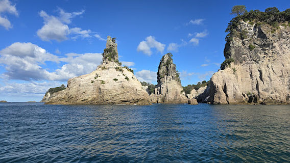 Te Whanganui-A-Hei Marine Reserve