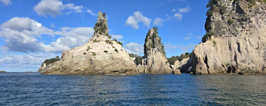 Te Whanganui-A-Hei Marine Reserve