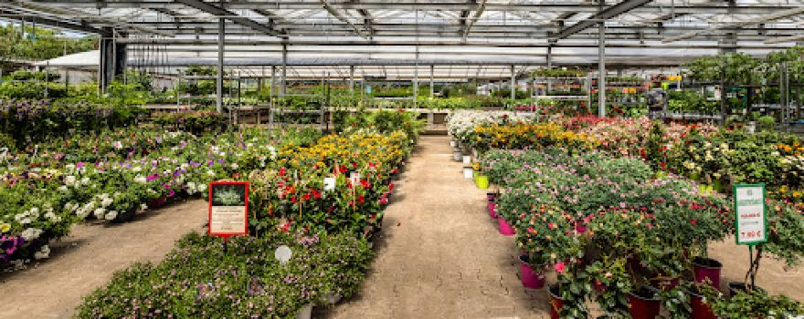 Gartencenter Schellewald