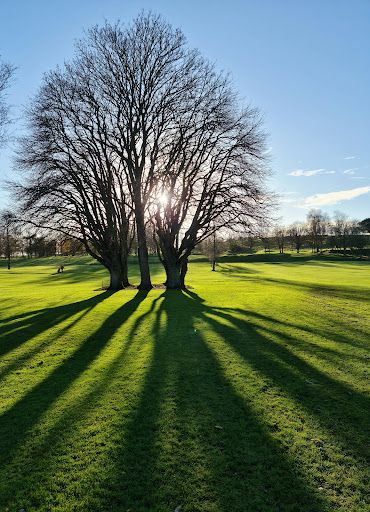 Royal Curragh Golf Club