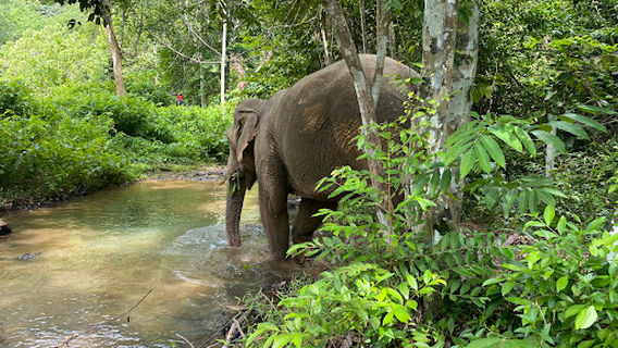Ko Lanta