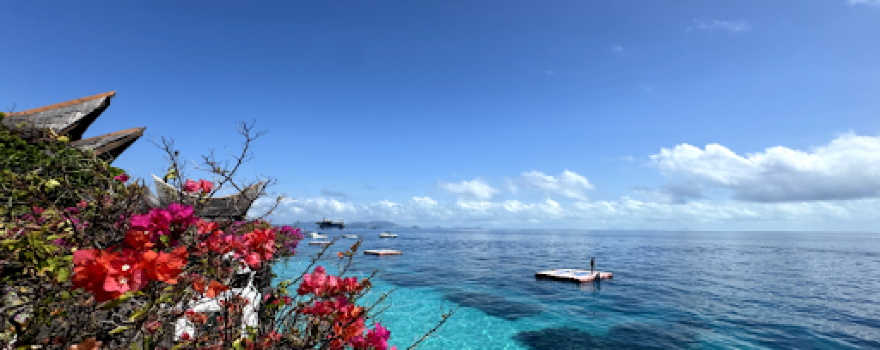 潛水道場 Diving Dojo