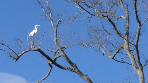 Китти-Хок Скатепарк