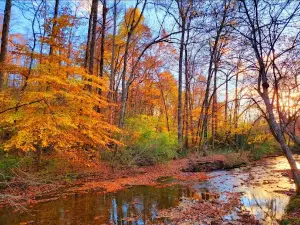 St. Joe Park