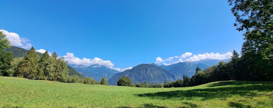 Madonna Del Lares
