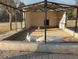Rajana Forest park and Zoo