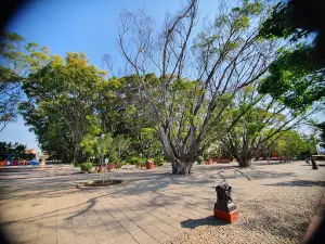 Alameda, Parque Hidalgo