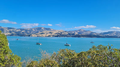 Akaroa Lookout point