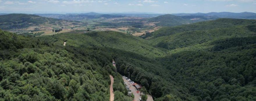 Water Dümbüldek