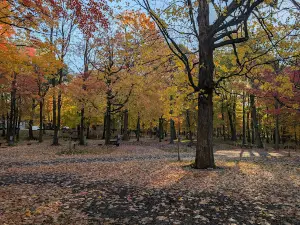 Camping des Voltigeurs