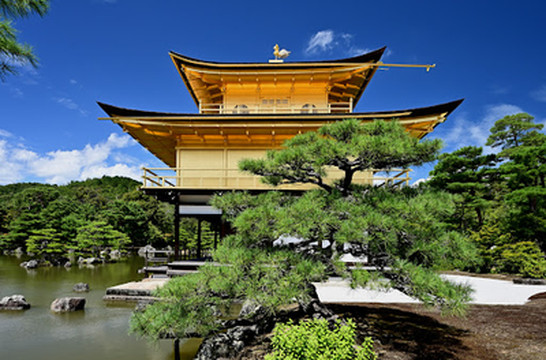 必見の世界遺産、金閣寺。 | Trip.com 京都