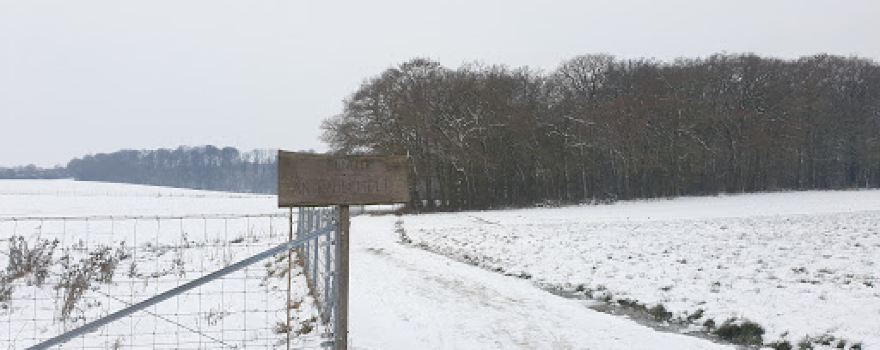 „An Rauschelf“-Weg