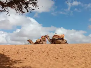 Mini Sahara