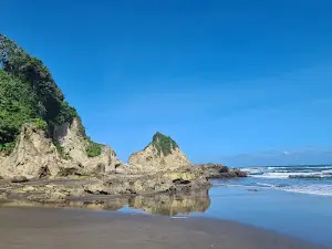 Coral Coast Nini