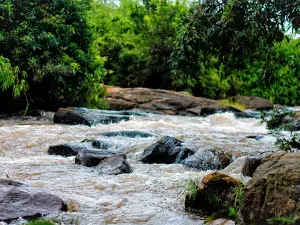 Paniyeli Poru Eco Tourism Center