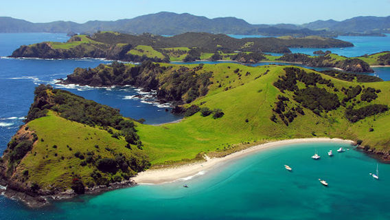 Bay Of Islands Snorkelling Ltd