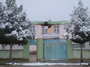 استادیوم ورزشی Stadium