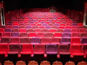 GORRON CINEMA