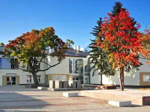 Municipal Cultural Center in Bełchatów