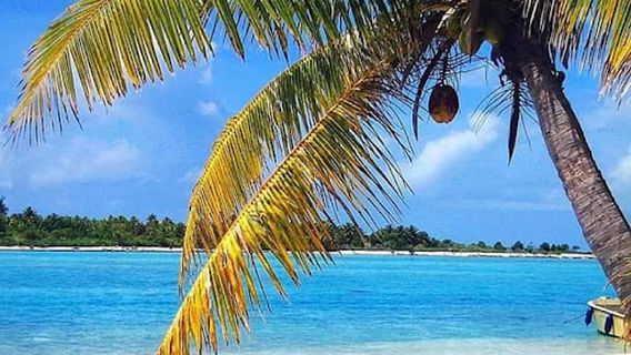 African Pool Map Natural