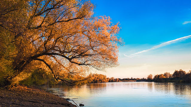 Miller Regional Park